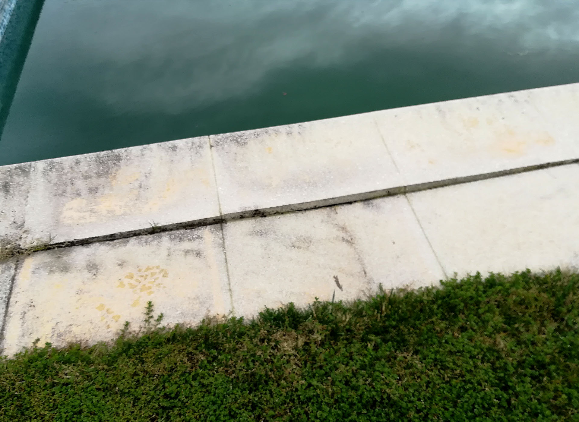 Renovação bordadura Renovação bordadura